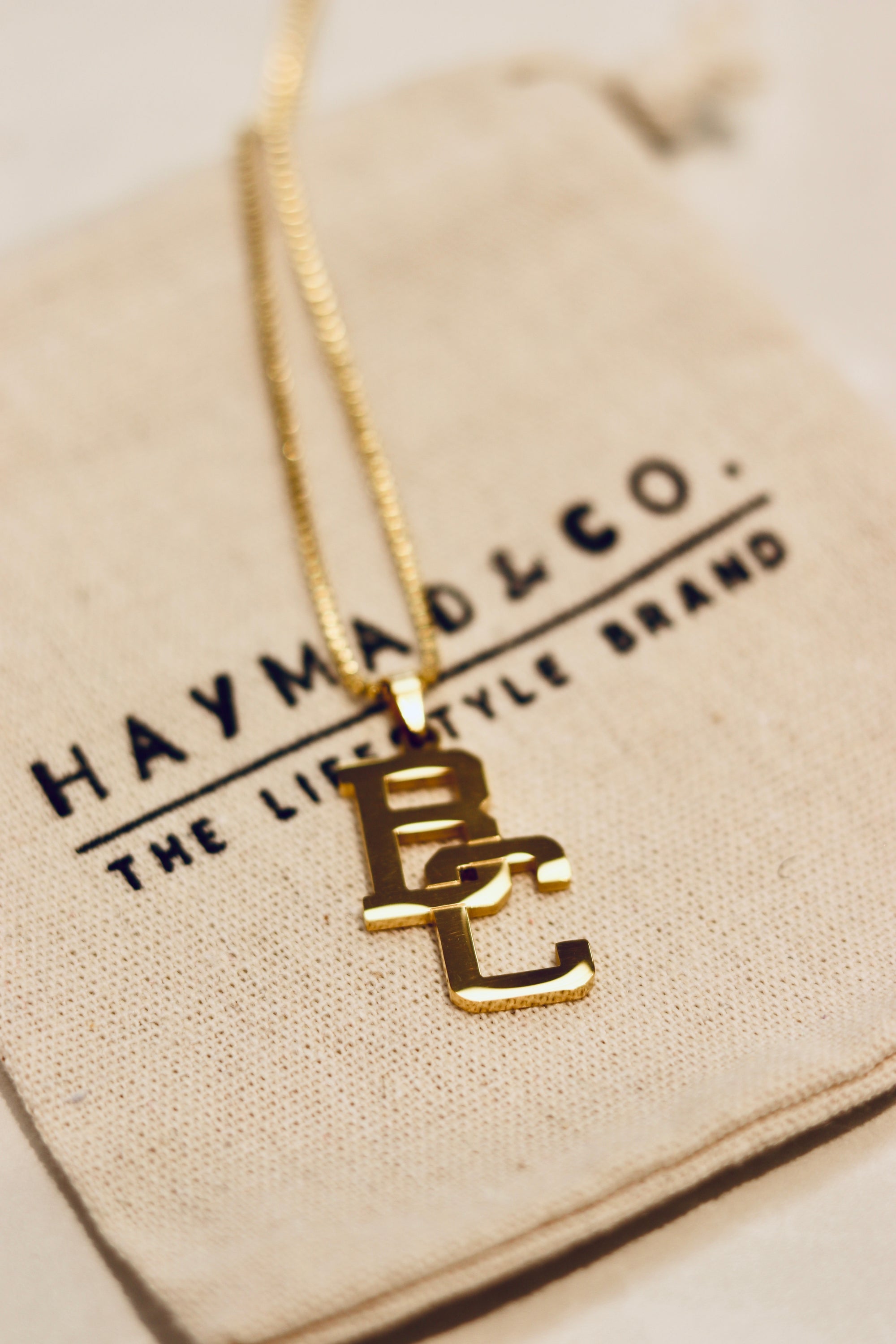 BC Lions Gold Pendant Necklace
